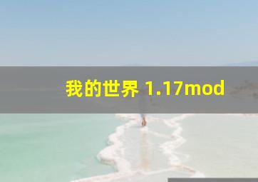 我的世界 1.17mod